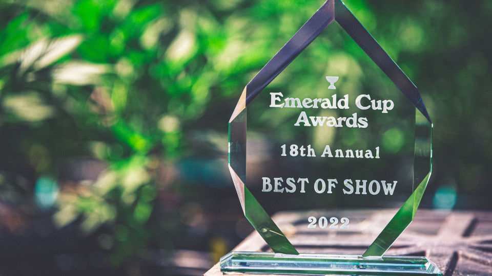 Emerald Cup Award