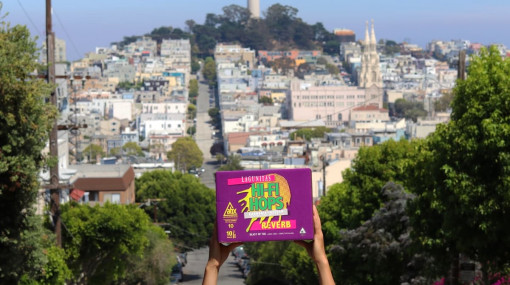 Holding up a case of Hi-Fi Hops with Coit Tower in the background