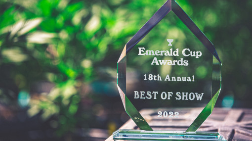 Emerald Cup Award