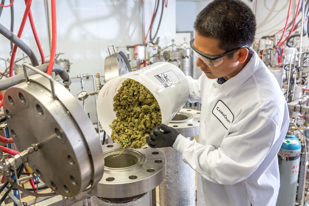 Cannabis flower is added to a CO2 extractor feed vessel for supercritical full-spectrum extraction.