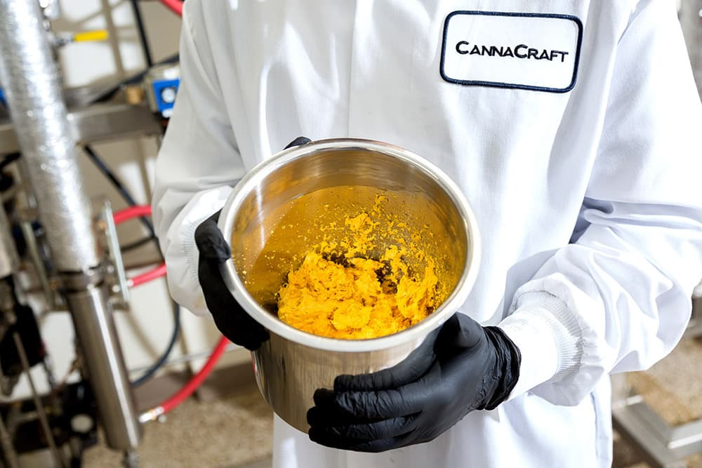 Supercritical extraction results in a highly viscous concentrate containing the cannabinoids and terpenes of the cannabis flower.