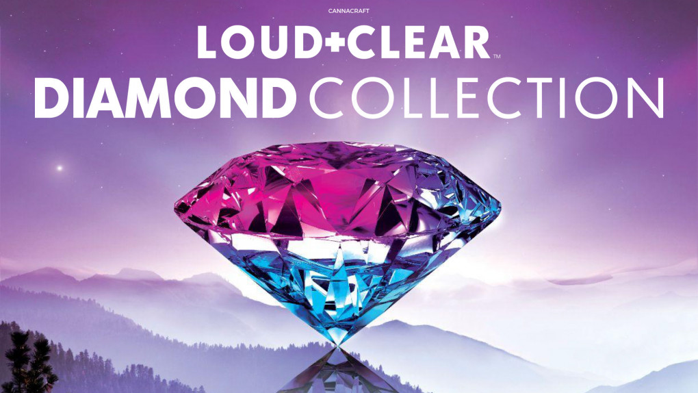Loud+Clear Diamond Collection