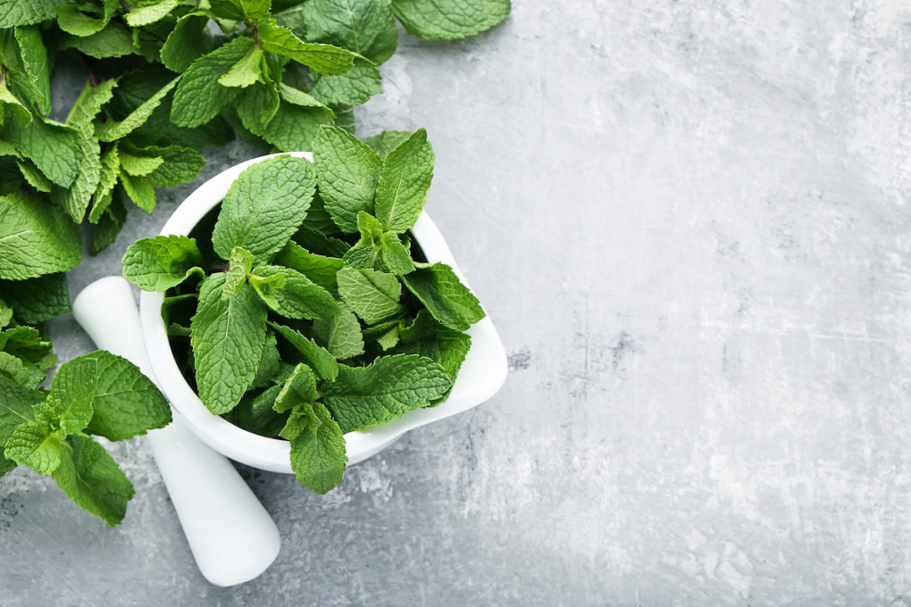 A sprig of mint in a bowl