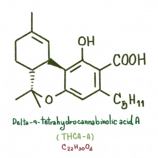 THCA diagram