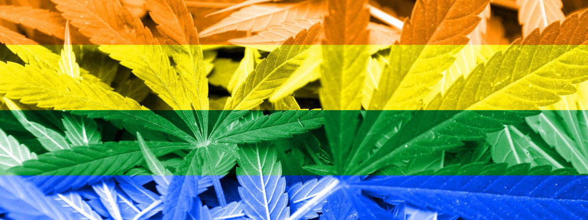 The Intertwining History Of Cannabis And LGBTQ Activism | AbsoluteXtracts